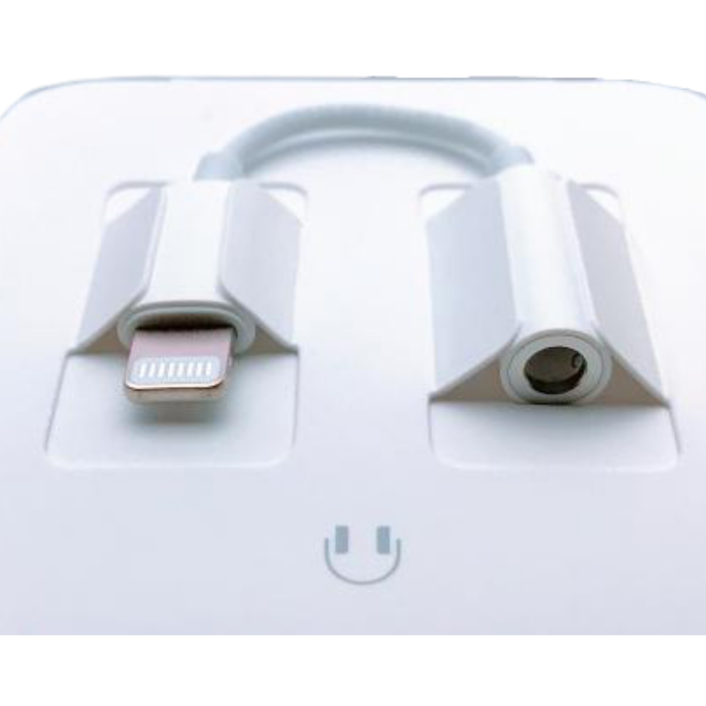 Apple Lightning to Plug Adapter