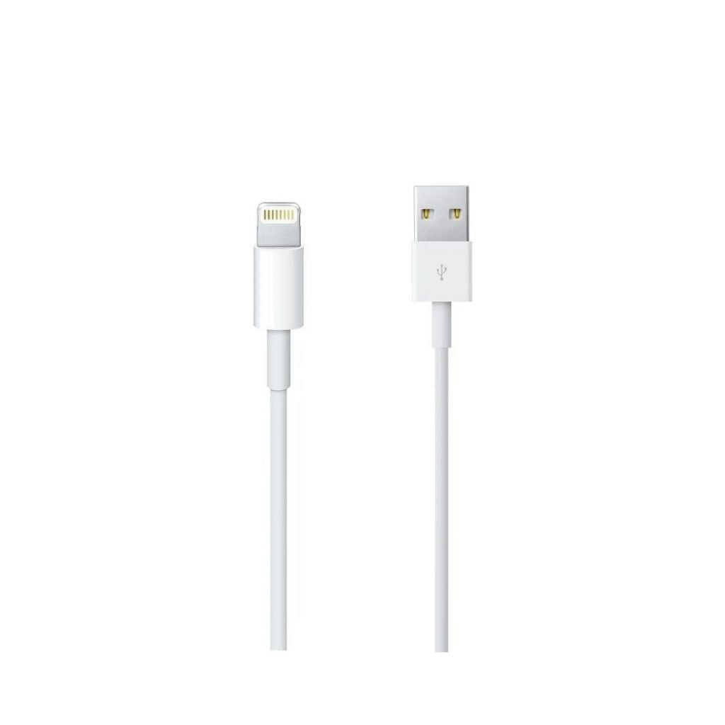 iPhone 5W charger