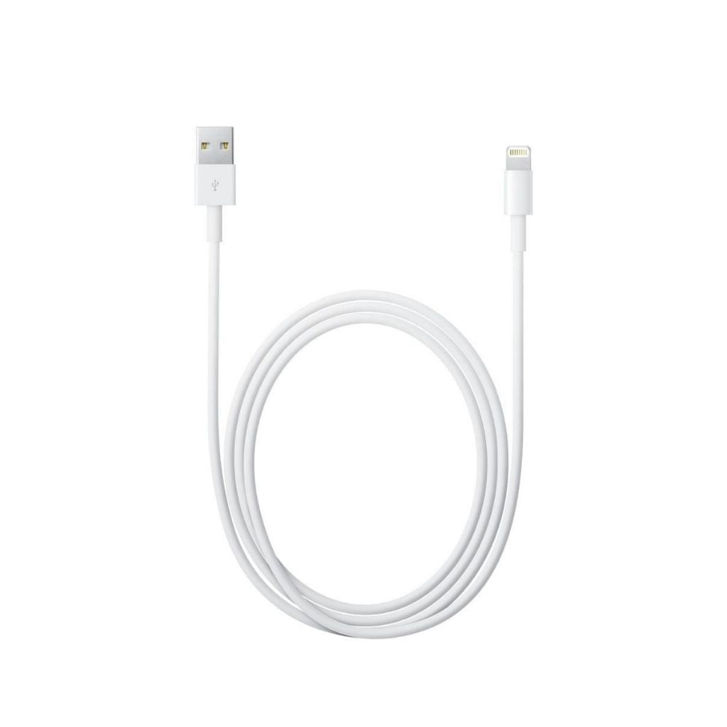 iPhone 5W charger