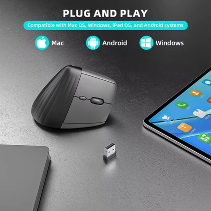 Compatibilidad Amplia