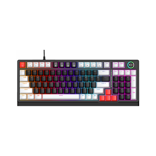 Teclado Mecánico RGB T-WOLF T50 97 Teclas