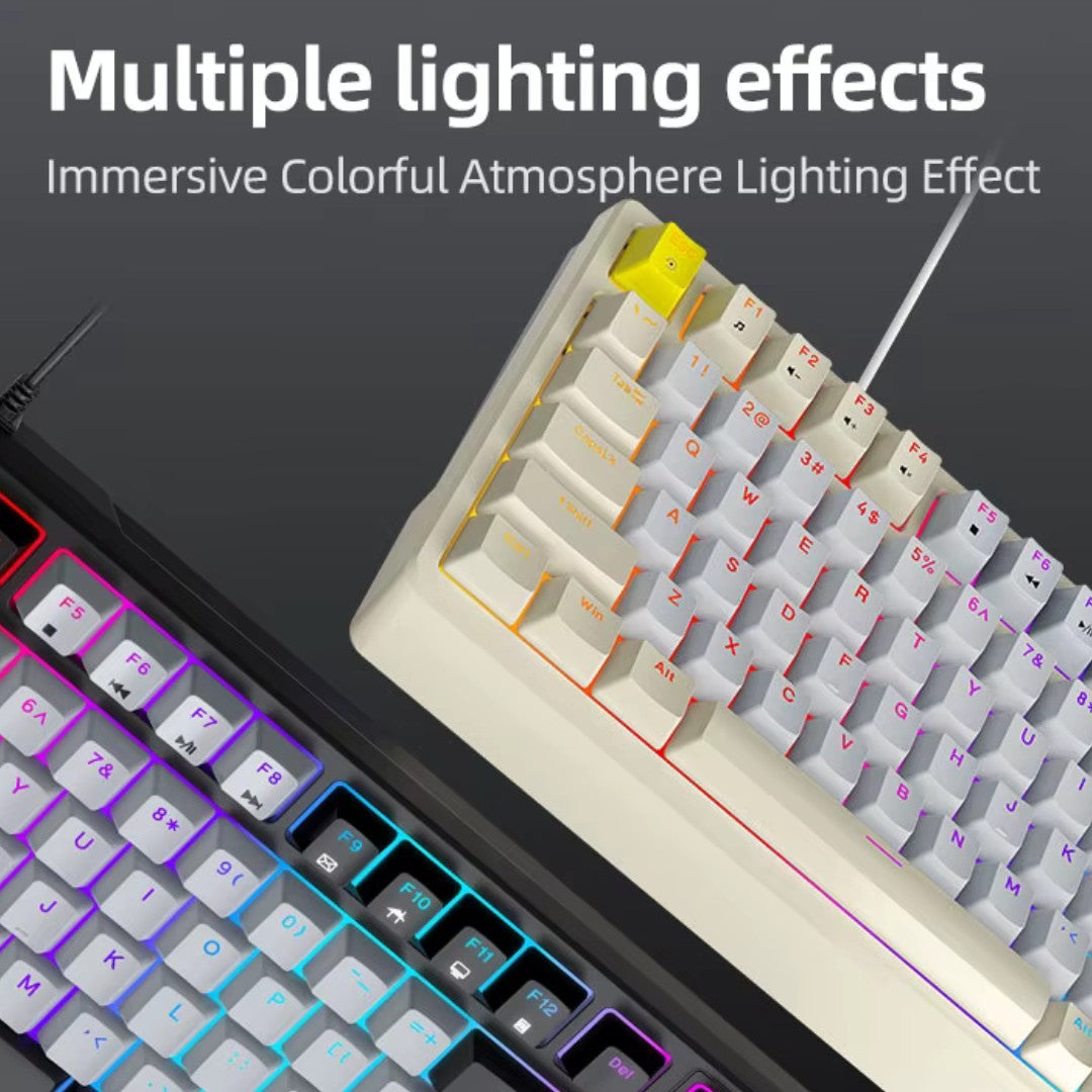 Immersive RGB
