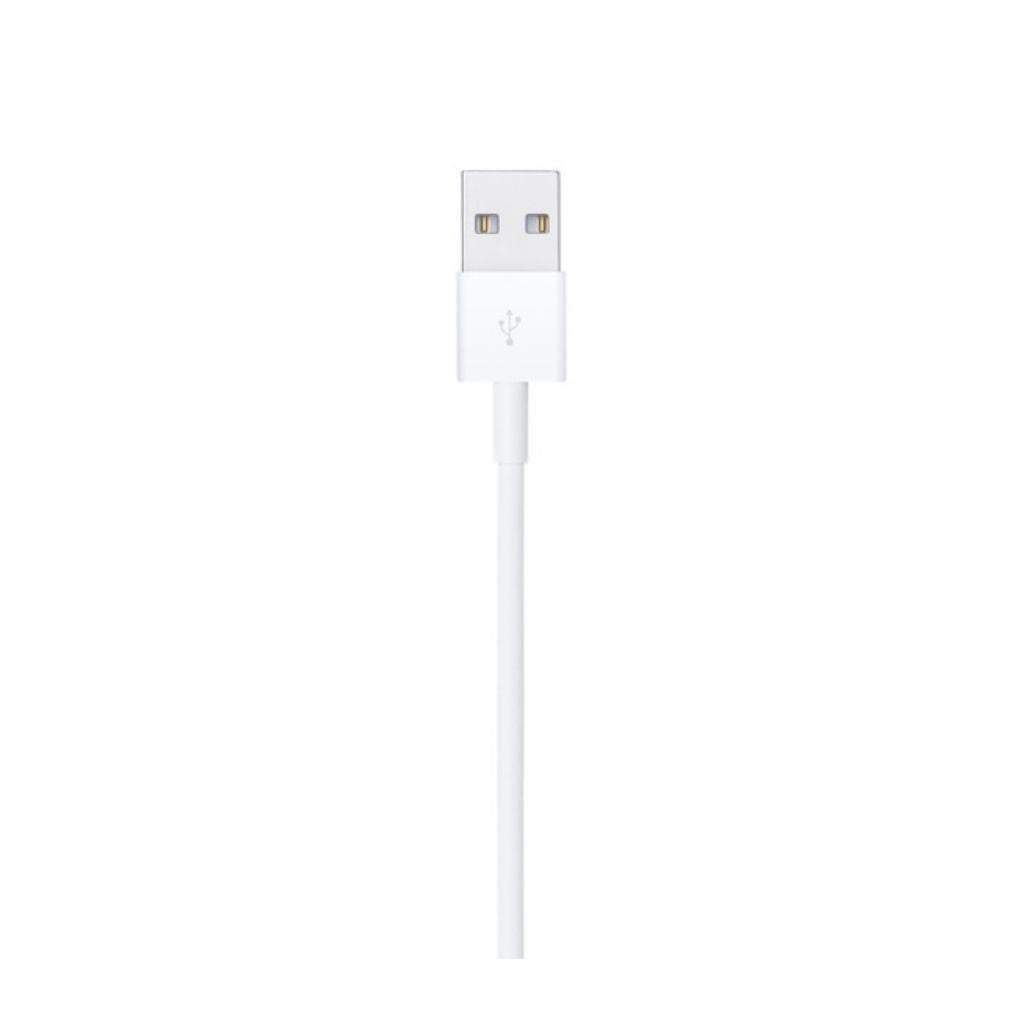 Cable iPhone USB 2mt