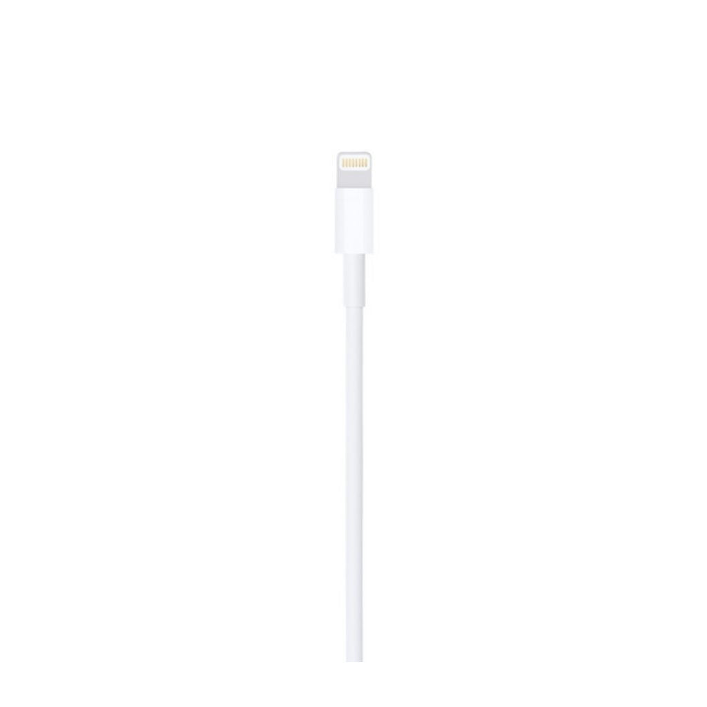 Cable iPhone USB 2mt